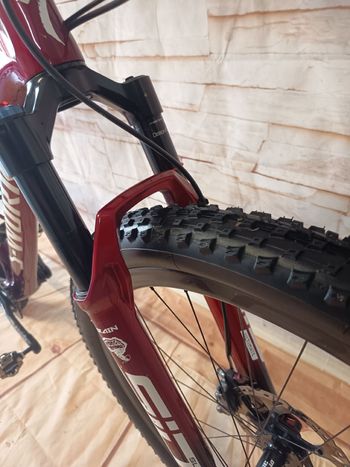 Used Specialized S-Works Epic Hardtail 2021 2021 Mountainbike, Rosso — image 3 of 10