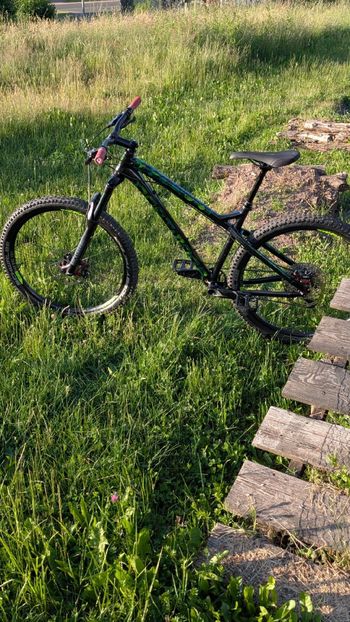 Used Dartmoor Primal EVO 27.5 2021 2021 Mountainbike — image 2 of 4