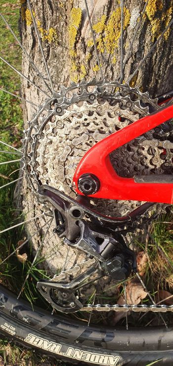 Used Trek Supercaliber 9.8 XT 2021 2021 Mountainbike — image 5 of 7