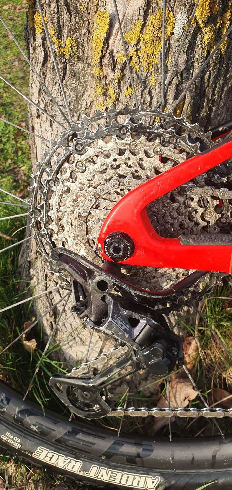 Used Trek Supercaliber 9.8 XT 2021 2021 Mountainbike, Red, 29 — image 5 of 7