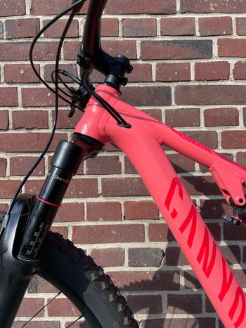 Used Canyon Neuron WMN AL 7.0 2020 2020 Mountainbike — image 4 of 14