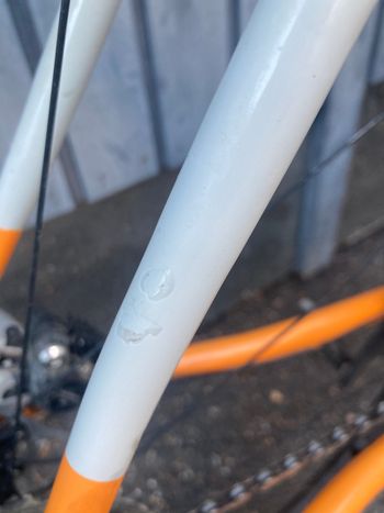 Used pelago Pelago Stavanger 2023 Road & Gravel — image 4 of 14