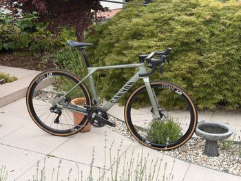 Used Canyon Endurace CF SLX 8 Di2 2024 2024 Route & Gravel