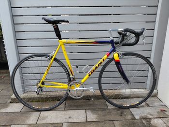Used Giant CFR Team Dura Ace 1996 Corsa & gravel