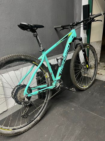 Used Megamo NATURAL 30 2021 2021 MTB