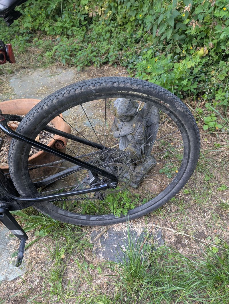 Used Lauf Seigla - Core Wireless 2024 2024 Road & Gravel, Black — image 4 of 9