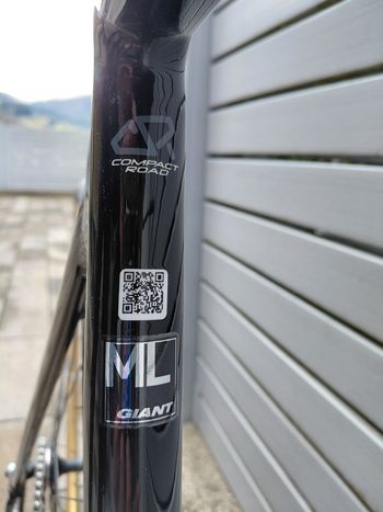 Used Giant Omnium 2017 2017 Road & Gravel — image 10 of 25