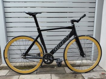 Used Giant Omnium 2017 2017 Road & Gravel