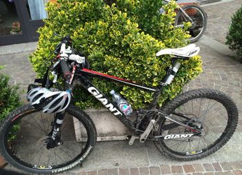 Used Giant Anthem X1 W 2010 2010 MTB