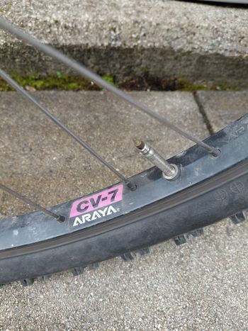 Used Giant Atlanta World Cup 1997 Mountainbike, Black — image 29 of 31
