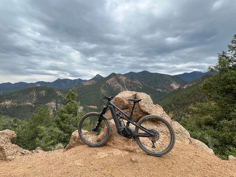 Used Canyon Strive:ON CFR Underdog 2024 2024 Mountainbike, Black, 29, 27.5 — image 2 of 4