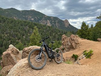 Used Canyon Strive:ON CFR Underdog 2024 2024 MTB