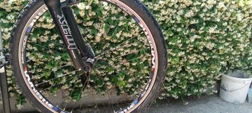 Tweedehands Whistle Miwook 924v 2011 Mountainbike — afbeelding 6 van 8