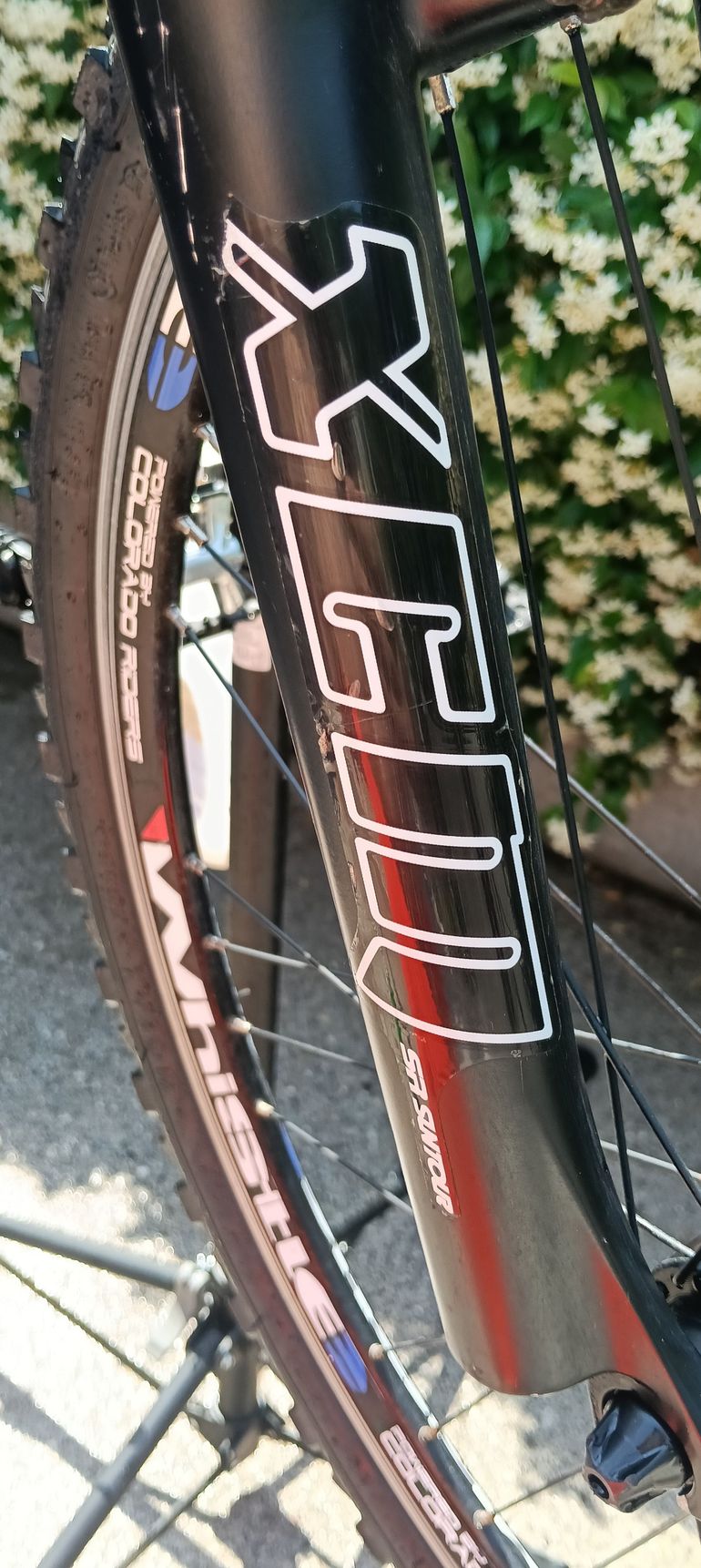 Used Whistle Miwook 924v 2011 Mountainbike, Black — image 3 of 8