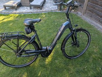 Used Velo de Ville Velo De Ville AEB 800 2022 Urban — image 5 of 11