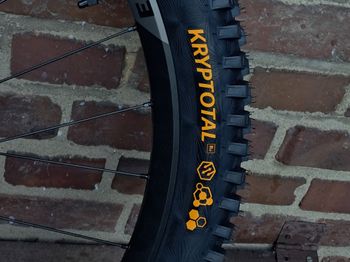 Used Orbea Occam S 29 Zoll Enduro MTB 2024 Mountainbike, Black, 29 — image 6 of 6
