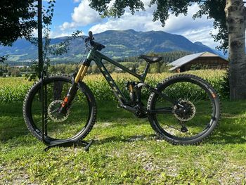 Brugt Vitus Sommet 29 CRX 2022 2022 Mountainbike — billede 5 af 8