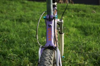 Used Giant Cadex CFM 1S 1990 Mountainbike — image 8 of 57