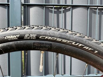 Used Giant Revolt Advanced 3 2024 2024 Road & Gravel, Rot — image 14 of 14