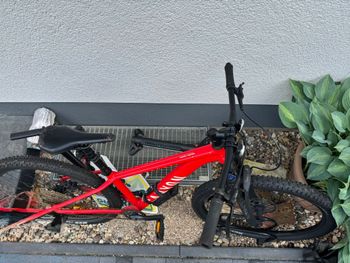 Used Canyon Grand Canyon 5 2024 2024 Mountainbike, Red, 27.5, 29 — image 5 of 5