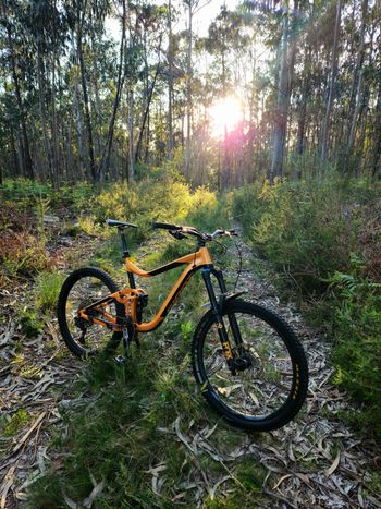 Used Giant Reign 1 2019 2019 MTB