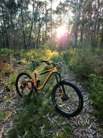Giant Reign 1 2019 2019 MTB usato