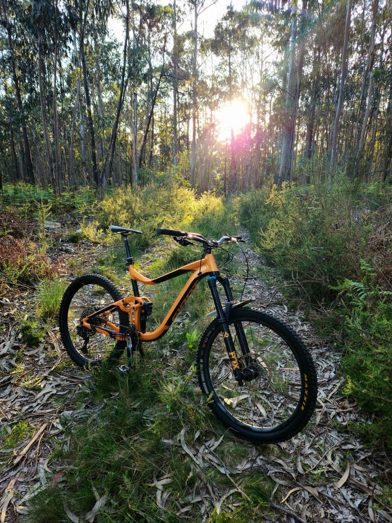 Used Giant Reign 1 2019 2019 Mountainbike, Orange, 27.5 — image 1 of 5