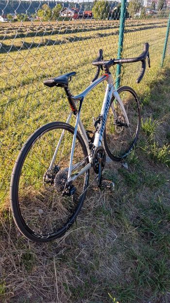 Used Lapierre Xelius SL 5.0 Disc 2021 2021 Road & Gravel, Light Gray — image 2 of 10