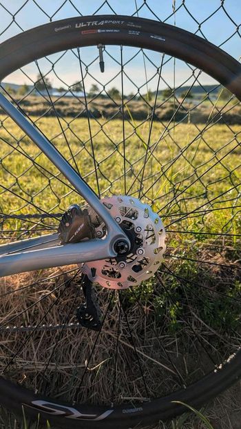Used Lapierre Xelius SL 5.0 Disc 2021 2021 Road & Gravel, Light Gray — image 5 of 10
