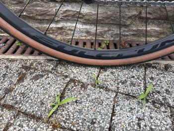Used Canyon Endurace 7 2023 2023 Road & Gravel — image 11 of 12