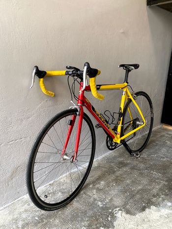 Used Marin Marin Custom Campagnolo Veloce 2000 Road & Gravel — image 2 of 6