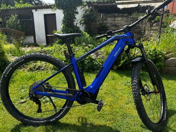 Used BULLS BULLS Custom Other Shimano - Mountainbike 2020 MTB