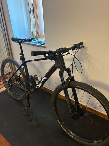 Used Canyon Exceed CF 5 2025 2025 VTT