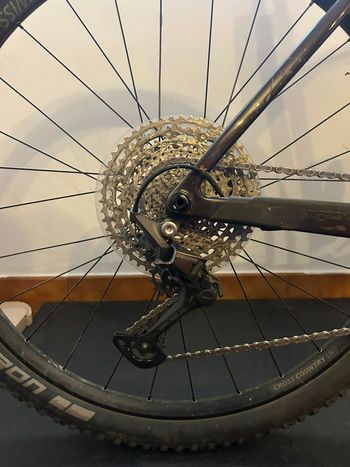 Used Canyon Exceed CF 5 2025 2025 Mountainbike — image 7 of 7