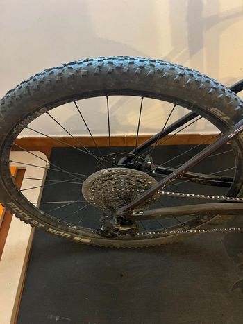 Used Canyon Exceed CF 5 2025 2025 Mountainbike — image 6 of 7