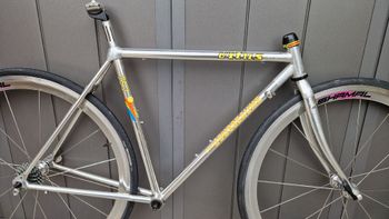Used Vitus Vitus Custom Frameset 1994 Road & Gravel, Light Gray — image 2 of 22