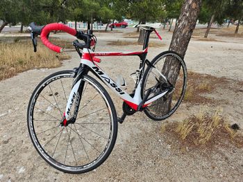 Used Massi Massi Custom Shimano 105 2019 Road & Gravel — image 2 of 5