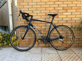 Used Trek Domane AL 2 Rim 2024 2024 Route & Gravel