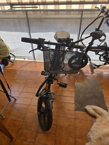 Used deepower Deepower Custom Other 2024 Urban, Black — image 4 of 4