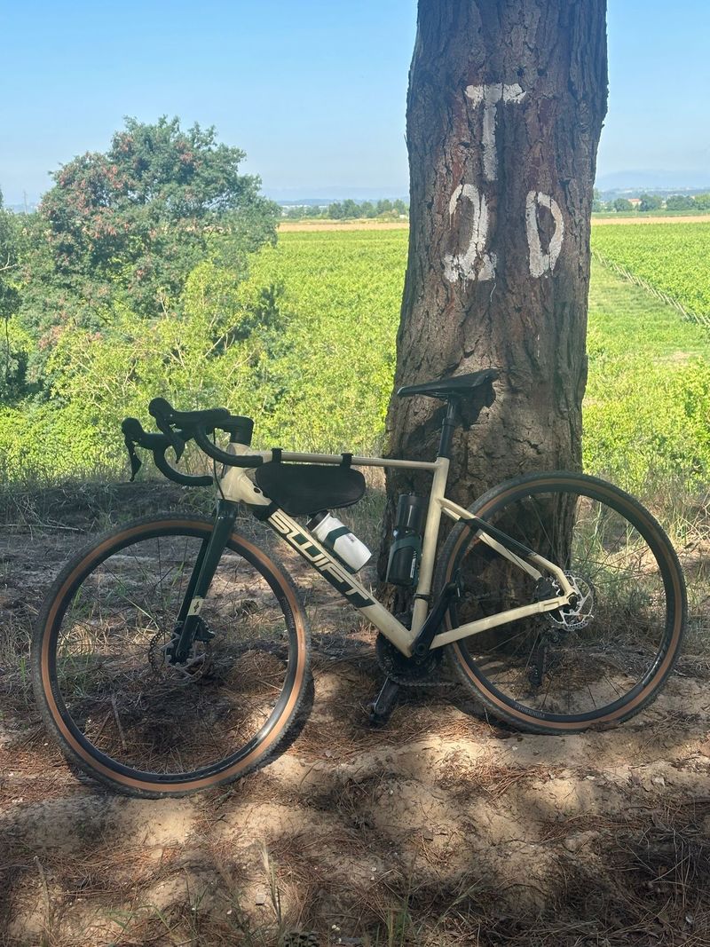 Swift Enduravox Gr Evo 2025 2025 Road & Gravel usato