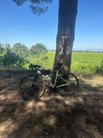 Used Swift Enduravox Gr Evo 2025 2025 Road & Gravel, White — image 2 of 3