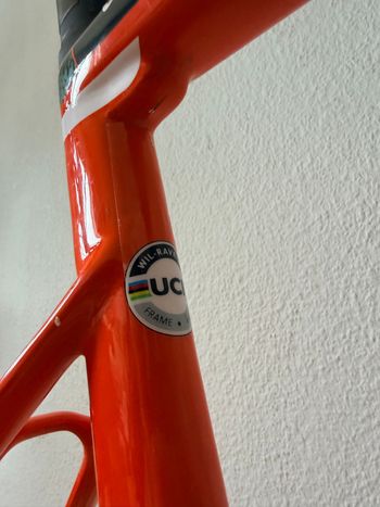 Used Wilier RAVE SLR 2023 Frameset 2023 Road & Gravel, Green — image 5 of 10