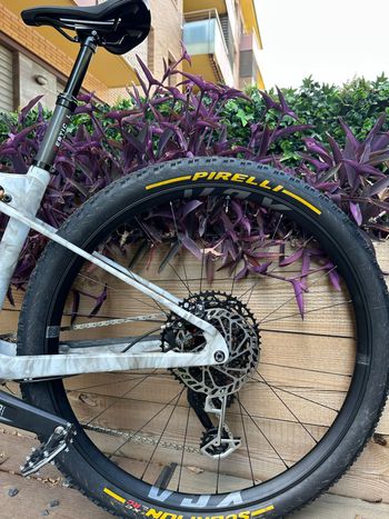 Used Trek Trek Supercaliber Gen 1 Custom 2022 Mountainbike — image 3 of 17