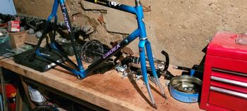 Used Giant Cadex Campagnolo Veloce 1996 Road & Gravel — image 6 of 8