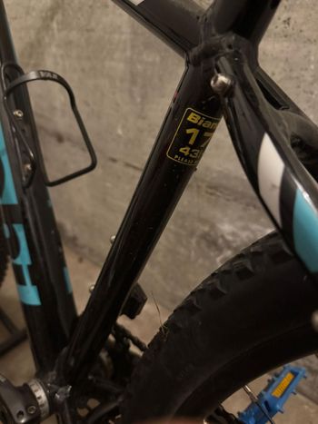 Used Bianchi Magma 9.1 – Deore 2021 2021 Mountainbike, Schwarz, 29 — image 13 of 14