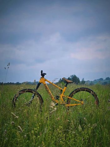 Used Santa Cruz 5010 S / Carbon C / 27.5 2022 2022 Mountainbike, Orange, 27.5 — image 2 of 4