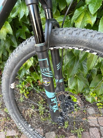 Used Santa Cruz Blur X01 / Carbon CC / 29 2020 2020 Mountainbike, Light Gray, 29 — image 3 of 4