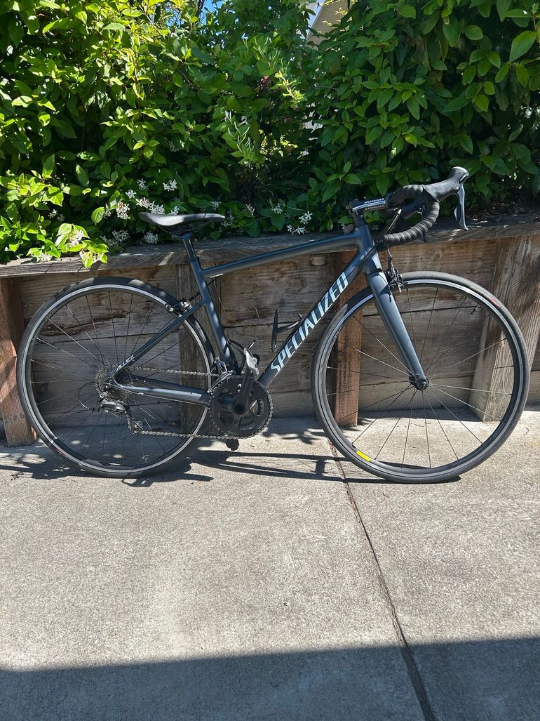 Used Specialized Allez Sport 2019 2019 Road & Gravel, Light Gray — image 1 of 3