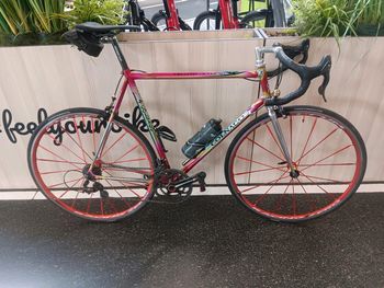 Used Colnago Colnago Master Olympic Art Decor 1994 Road & Gravel
