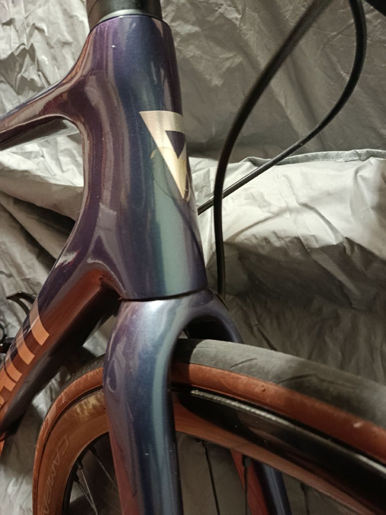Used Giant TCR Advanced Pro Disc 0 AR 2024 Frameset 2024 Road & Gravel — image 4 of 5